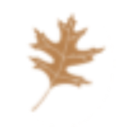 Oakwood Country Club logo
